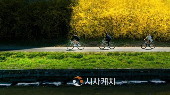 f_홍보담당관(최우수01_봄바람 휘날리며_전용석).jpg