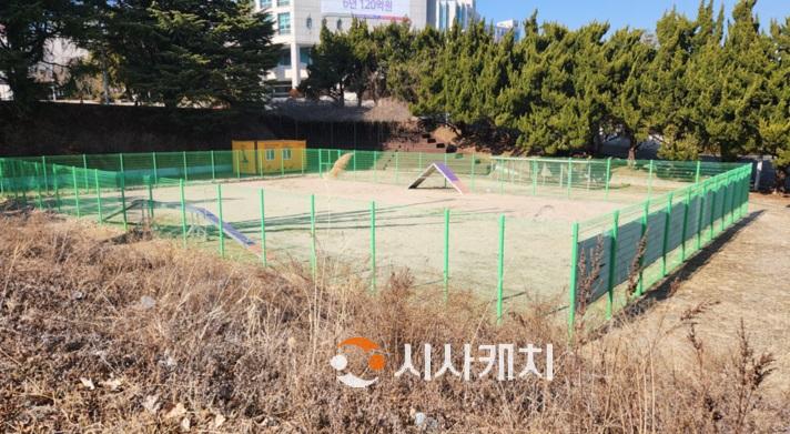 대전시, 반려동물 놀이터 3개소 부지 확보... 본격 추진(우송정보대학교 부지).jpg