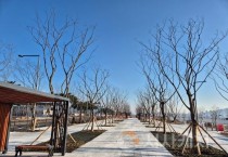 세종시 도시상징광장 2단계 조성 완료
