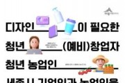 f_상반기 세종시 디자인 지원사업 모집공고 포스터(정책기획관).jpg