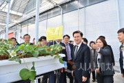 f_여름딸기 생산 스마트팜 (2).jpeg