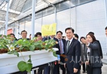 충남도, 여름딸기 생산 스마트팜 준공