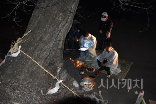 f_세종 등곡리동제 탑제(문화유산과).JPG