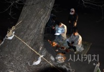 f_세종 등곡리동제 탑제(문화유산과).JPG