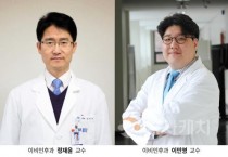 레이저·나노입자로 전정신경의 재생 치료 가능성 열어