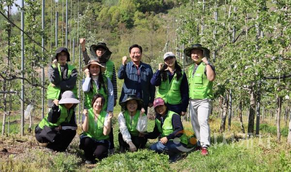 [크기변환][포맷변환]사본 -[사진자료] 사과밭에 핀 나눔의 손길, 충남문화관광재단 임직원 봉사단 농촌 일손돕기 나서.jpg