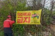 f_입산금지 플래카드 철거(산림자원과).jpeg