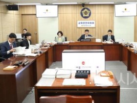 [크기변환]사본 -세종특별자치시의회 교육안전위원회, 2024회계연도 결산 심사 (2).jpg