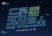 f_토지정보과(2025 드론라이트쇼 홍보 포스터).jpg