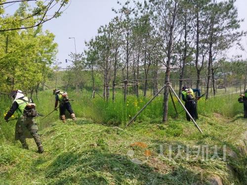 f_1. 아산시, 교차로 녹지공간 환경정비로 ‘깨깔산멋’ 조성.jpg