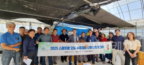 f_스마트팜 수경재배, 효율적 농업의 길을 열다(농업기술센터).jpg