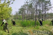 f_1. 아산시, 교차로 녹지공간 환경정비로 ‘깨깔산멋’ 조성.jpg