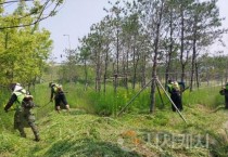 아산시, 교차로 녹지공간 환경정비로 ‘깨깔산멋’ 조성
