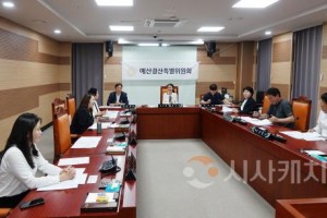 [크기변환]사진1_아산시의회 예산결산특별위원회가 2024회계연도 아산시 결산 및 예비비 지출 승인의 건에 대하여 제2차 예결위를 통해 심사하고 있다..jpg