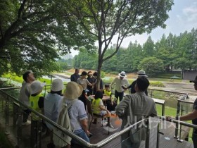 f_20250619_양재천 일대.jpg