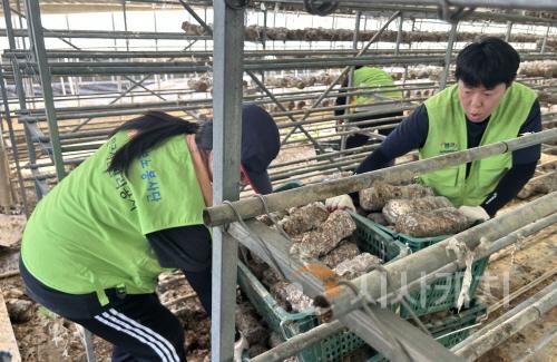 [크기변환]사본 -4. 대전시 충남 당진 수해피해지역 도움의 손길1.jpg