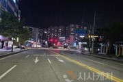 f_교통정책과(야간 도로 시인성 확보-태양광 LED도로표지병 설치) (1).jpg