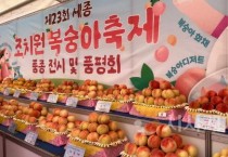 세종 조치원복숭아 축제 부대행사로 전시·품평회