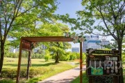 f_4. 무궁화 만개한 8월, 대전의‘나라꽃 명소’로 떠나 보세요 - 무궁화군락(정부대전청사 들의공원).jpg