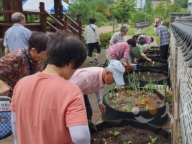 f_실버텃밭(농업기술센터) .jpg