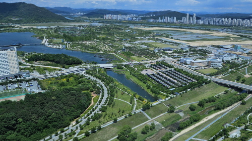 세종500=.jpg