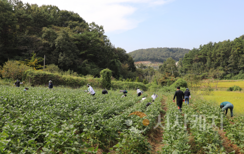 f_농번기 일손 돕기 (1).png