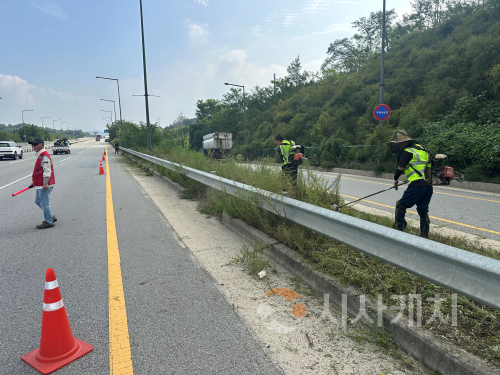 f_도로변 예초작업(도로관리사업소).png