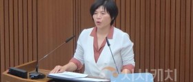 김현옥 세종시의원, “재난은 결코 평등하지 않다”