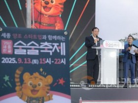 [크기변환]술술_축제3(한글문화도시과).jpg