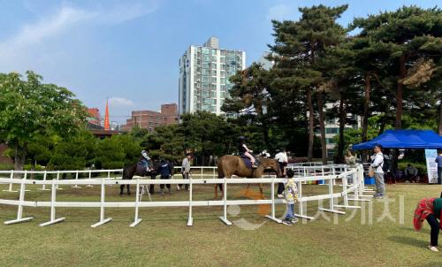[포맷변환][크기변환]승마체험(동물정책과).jpg