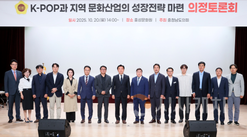 f_251020_K-POP 지역문화사업 의정토론회_02.png