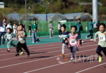 교육감배 세종학생체육대회 개최