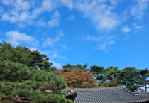 천안교육지원청, 저연차 일반직공무원 ‘소통·공감 배움자리’ 실시