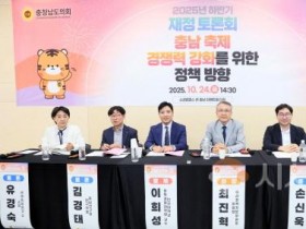 [크기변환]251024_2025년 하반기 재정 토론회 (2).JPG