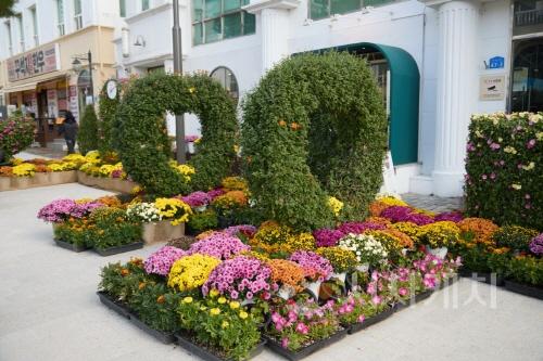 [크기변환]2. 아산시, 2025 국화 전시회 개막...국화 향기 속 가을축제의 문 열어 (1).jpg