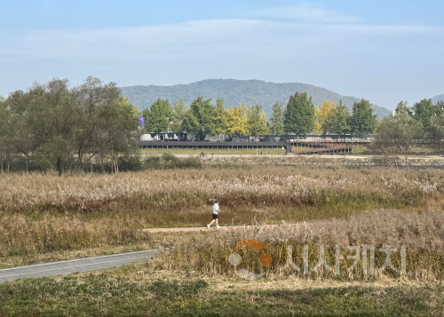 f_1. ‘가을의 도시’ 아산서 은빛 억새·황금 단풍 즐겨요 (1).png