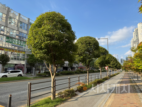 f_특화 가로수길 조성(산림자원과).png