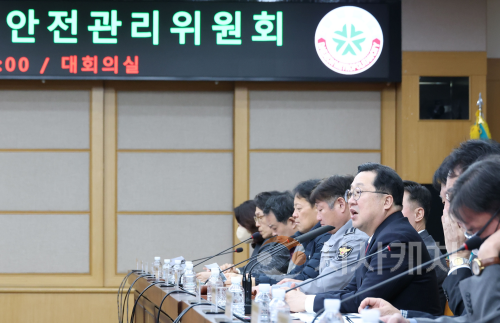 f_3. 대전시"대규모 불꽃축제 시민 안전 최우선”1.png