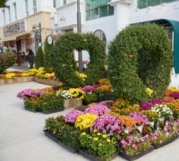 아산 지중해마을 문화축제 성료