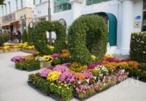 [크기변환]2. 아산시, 2025 국화 전시회 개막...국화 향기 속 가을축제의 문 열어 (1).jpg