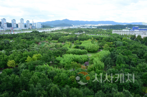 f_1. 대전, 그린청정도시가 된 비결은-도심 속 한밭수목원.png