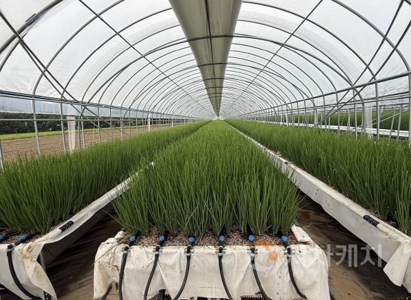 [크기변환]1. [기획] 아산시, ‘50만 자족도시 핵심축’ 농업에서 답 찾다 (5).jpg