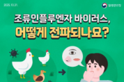 f_감염병대응센터(조류인플루엔자 인제감염증 홍보문)1.png
