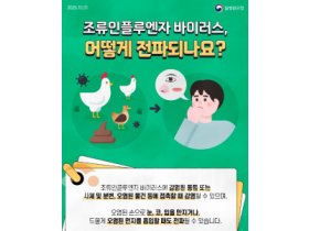 f_감염병대응센터(조류인플루엔자 인제감염증 홍보문)1.png