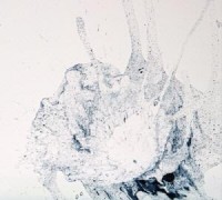 충남창작스튜디오, 김가을 작가 개인 릴레이展 열어