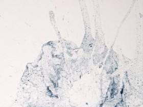 [크기변환][크기변환]붙임 3. 김가을-파동(波動)1 숨은풍경 30x70cm 종이위에 혼합재료 2025.jpg