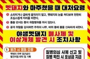[크기변환]대전 도심 멧돼지 출몰… 시민 행동요령 안내(수시).jpg