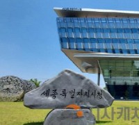 세종시, 설 명절 종합대책 추진