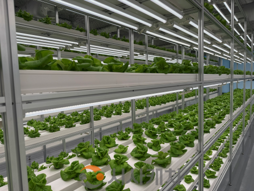 f_3. 대전시, 도심형 스마트팜 ‘대전팜’ 확대 추진 1.png