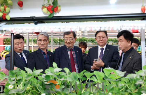 f_0326_딸기특위 현장방문 (1).png